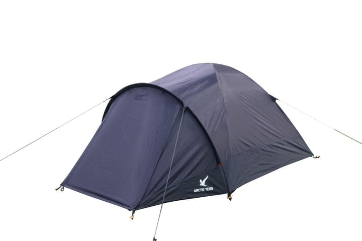 Arctic Tern Camp 3 Blue Arctic Tern