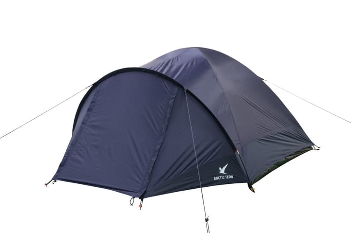 Arctic Tern Camp 4 Blue Arctic Tern Arctic Tern Camp 4 Blue Arctic Tern