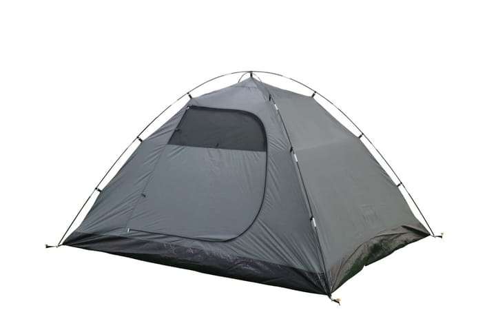 Arctic Tern Camp 4 Blue Arctic Tern Arctic Tern Camp 4 Blue Arctic Tern