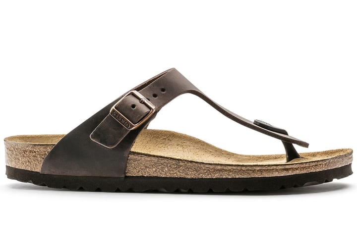 Birkenstock Gizeh Regular Habana Birkenstock Birkenstock Gizeh Regular Habana Birkenstock