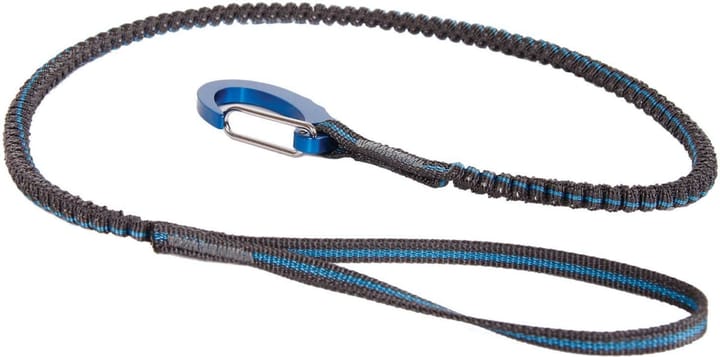 Blue Ice Solo Leash Blue Ice