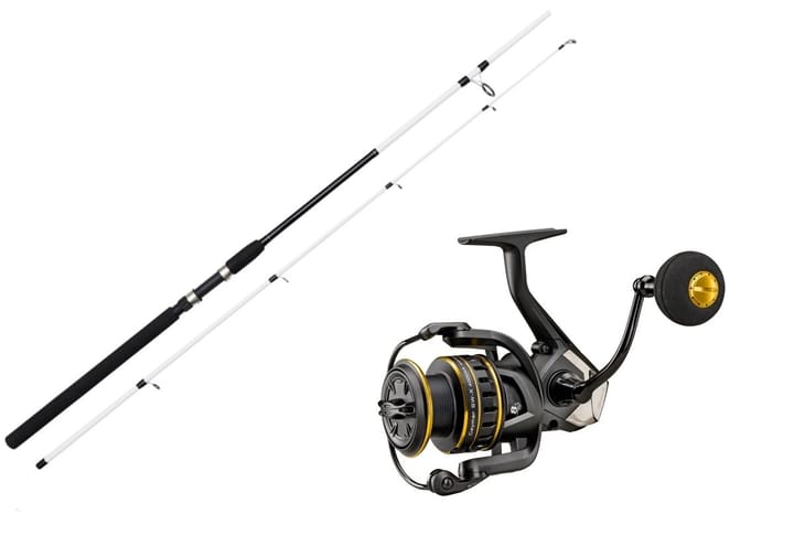 Kinetic Witcher Salt Cc 9' 20-60G/Okuma Ceymar Sw 3000ha Kinetic