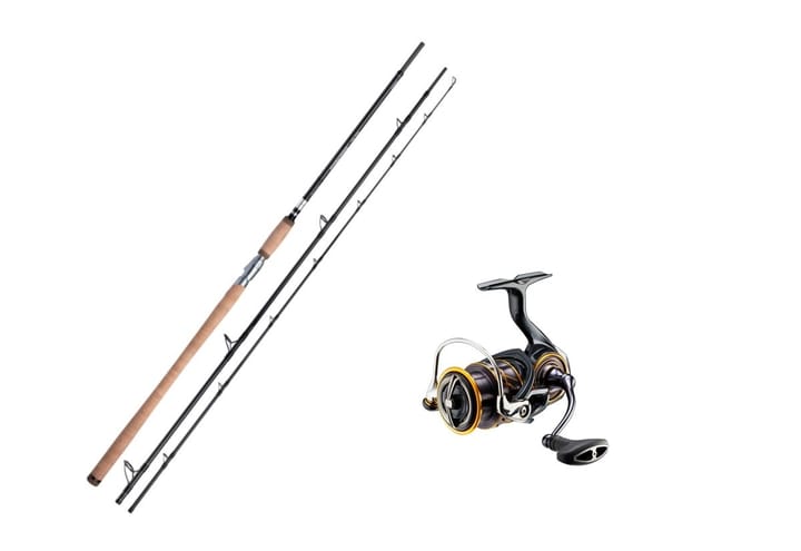 Shimano Speedmaster Salmon Spin 40-100g/Daiwa Caldia Lt 4000dc Shimano