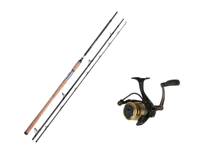 Shimano Speedmaster Salmon Spin 40-100g/Penn Battle® Iv 6000hs Shimano