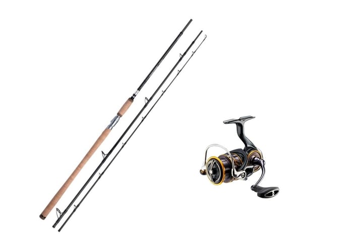 Shimano Speedmaster Salmon Spin 30-80g/Daiwa Caldia Lt 4000dc Shimano