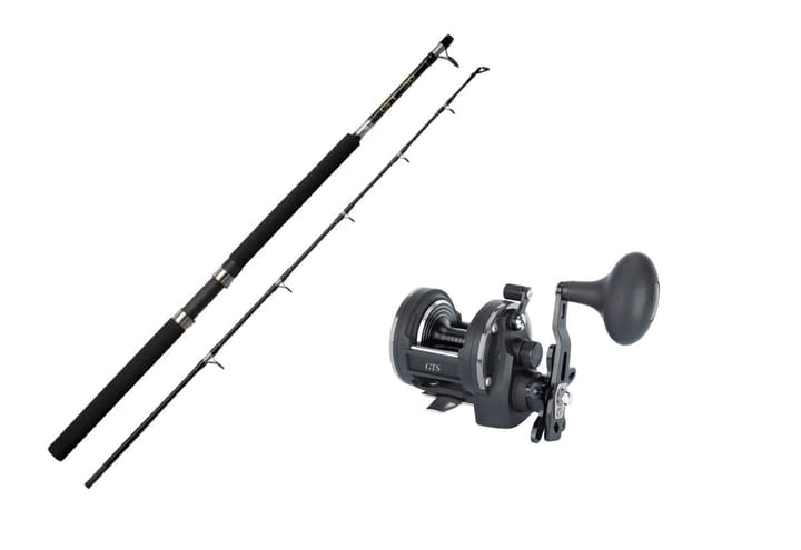 AbuGarcia Rod Gt 602 30lbs Boat/Lawson Gts 20 Abu Garcia