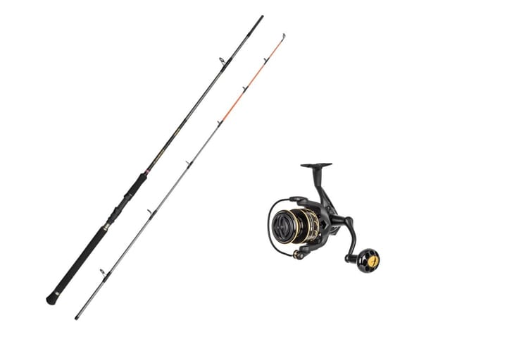 Penn Regiment Iv Spin/ 40-120g/Prey Lightjigger 4000 Fd Ha Penn