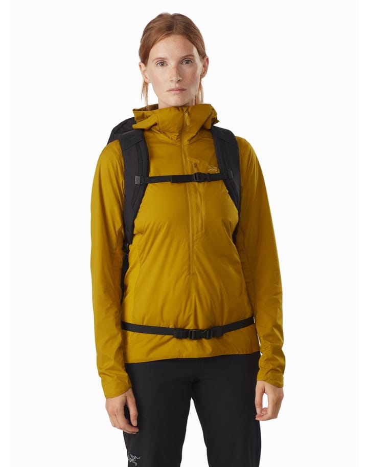 Arc'teryx Brize 25 Backpack Ladon REG Arc'teryx Arc'teryx Brize 25 Backpack Ladon REG Arc'teryx