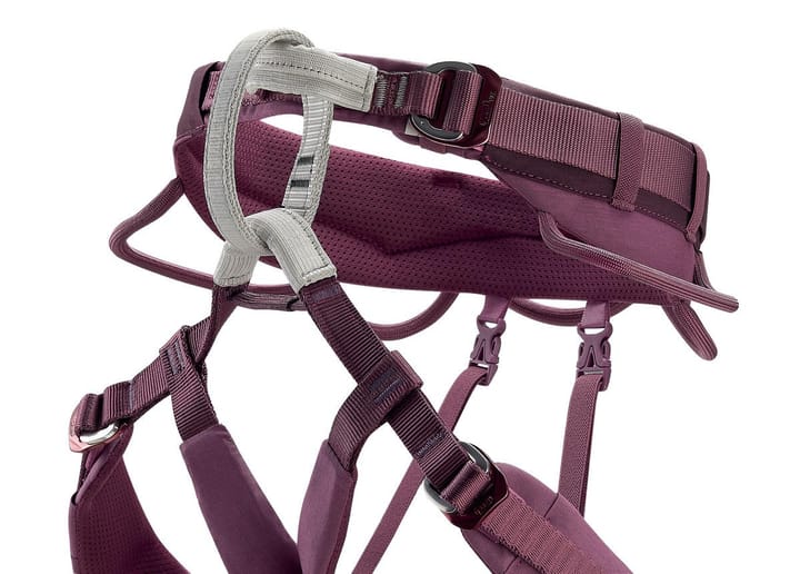 Petzl Women's Luna Violet Petzl