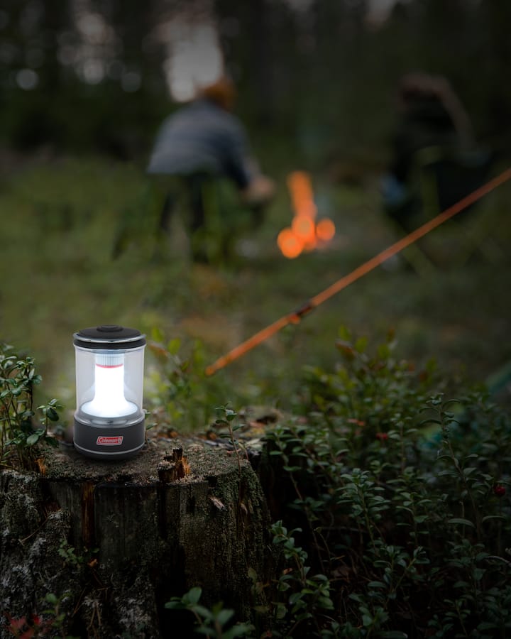 Coleman Batteryguard Lantern 200 Lumen Coleman