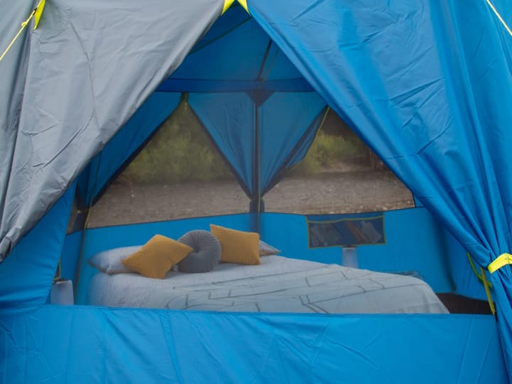 Coleman Cortes Octagon 8 Blue/Lime Blå/Lime Coleman Coleman Cortes Octagon 8 Blue/Lime Blå/Lime Coleman