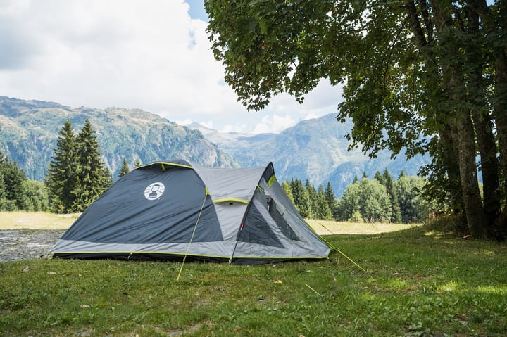 Coleman Darwin 3+ Campingtelt Grønn Coleman