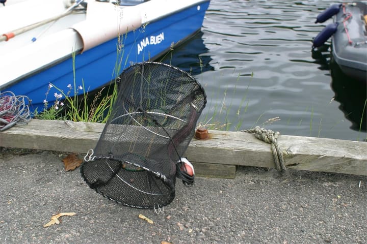 Cal Teine, Sammenleggbar For Fisk Og Krabber CAL Cal Teine, Sammenleggbar For Fisk Og Krabber CAL