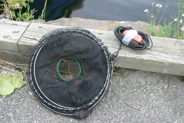 Cal Teine, Sammenleggbar For Fisk Og Krabber CAL Cal Teine, Sammenleggbar For Fisk Og Krabber CAL