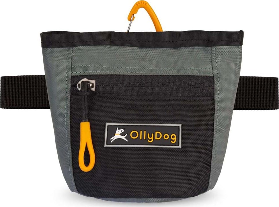 OllyDog Goodie Treat Bag Juniper