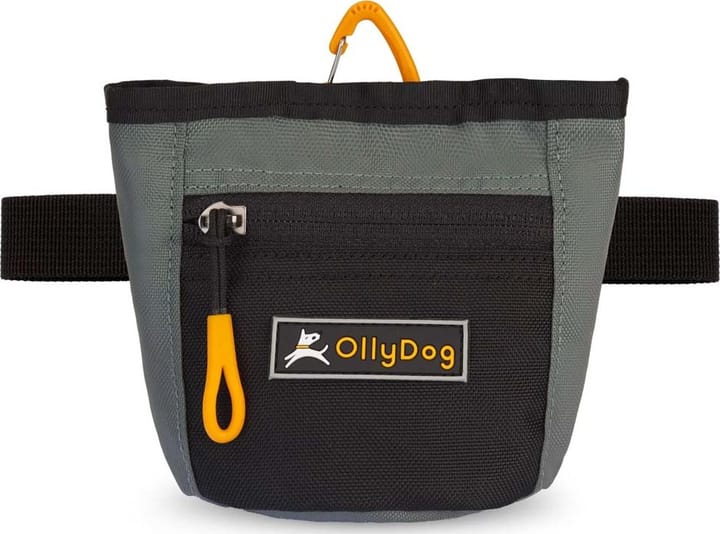 OllyDog Goodie Treat Bag Juniper OllyDog