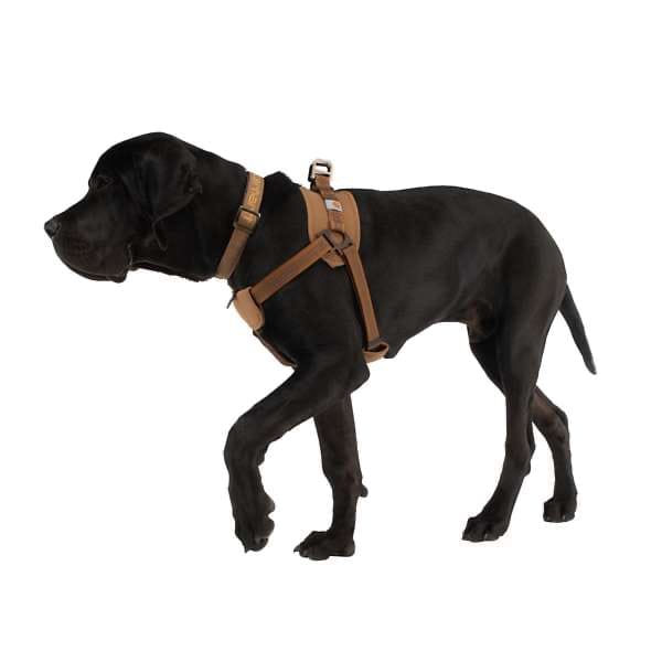Carhartt Training Harness Carhartt® Brown Carhartt Carhartt Training Harness Carhartt® Brown Carhartt