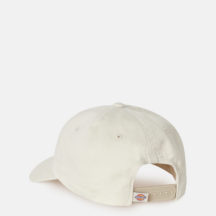 Dickies Hardwick Cloud Dickies