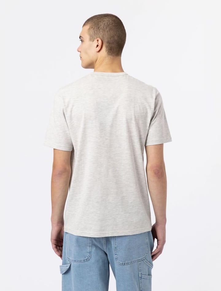 Dickies Aitkin Tee Grey/Navy Dickies Dickies Aitkin Tee Grey/Navy Dickies
