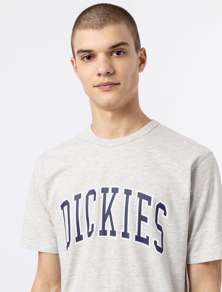 Dickies Aitkin Tee Grey/Navy Dickies