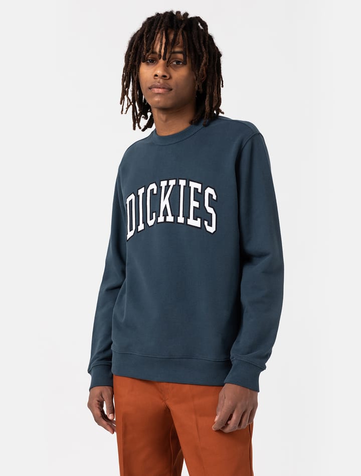 Dickies AITKIN SWEATSHIRT AIR FORCE BLUE Dickies Dickies AITKIN SWEATSHIRT AIR FORCE BLUE Dickies