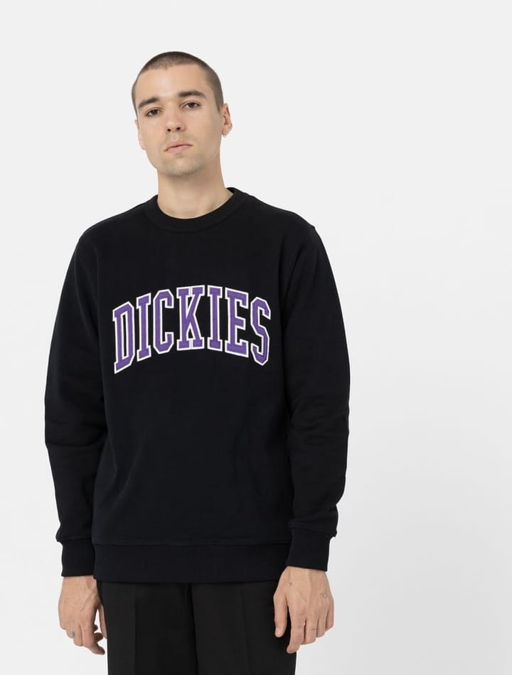 Dickies Aitkin Sweatshirt Black/Imperial Palace Dickies