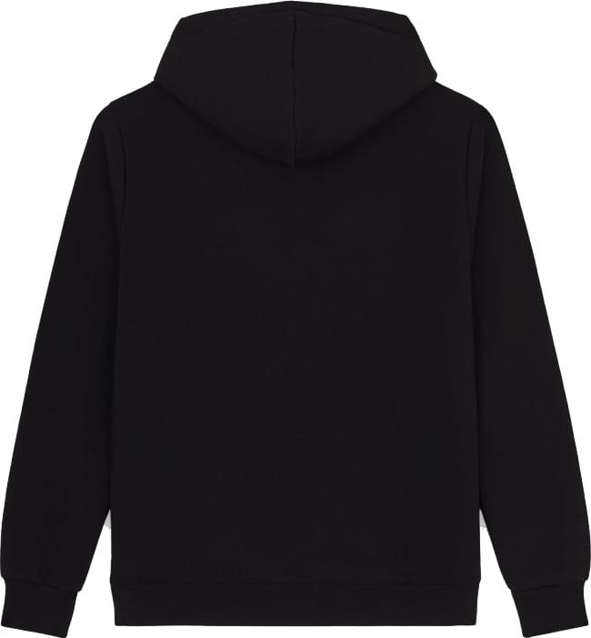 Dickies ICON LOGO HOODIE Black Dickies Dickies ICON LOGO HOODIE Black Dickies