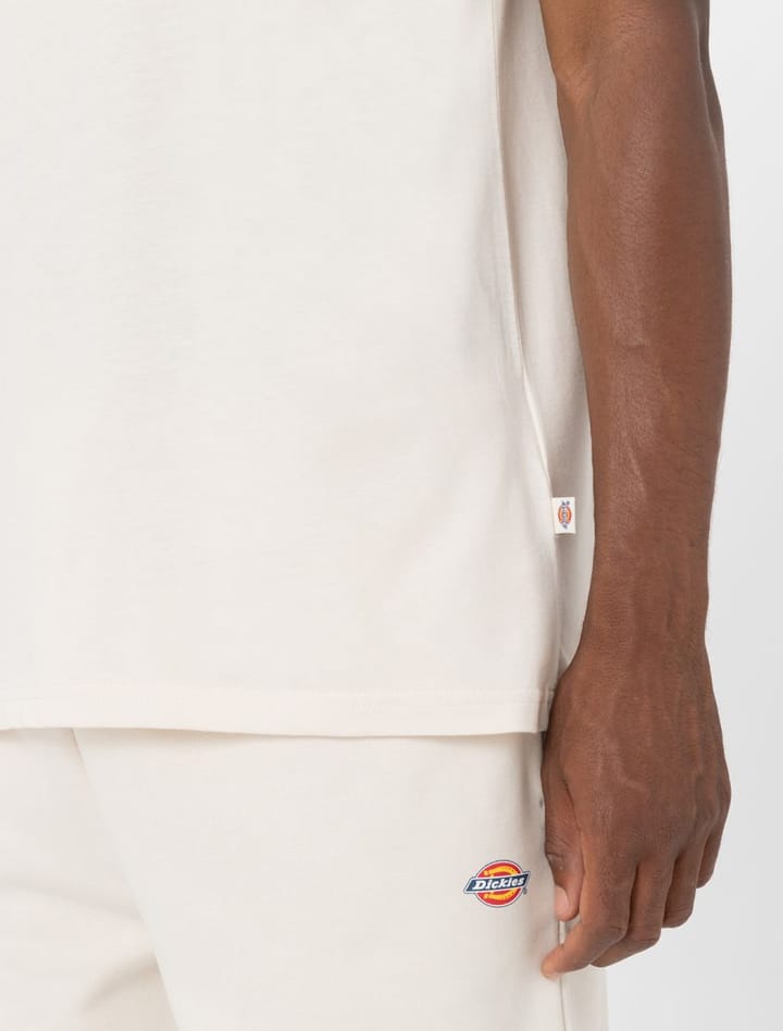 Dickies Men's Mapleton Short Sleeve T-Shirt Whitecap Gray Dickies