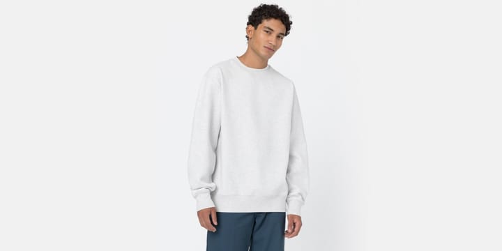 Dickies SUMMERDALE SWEATSHIRT Light Gray Dickies