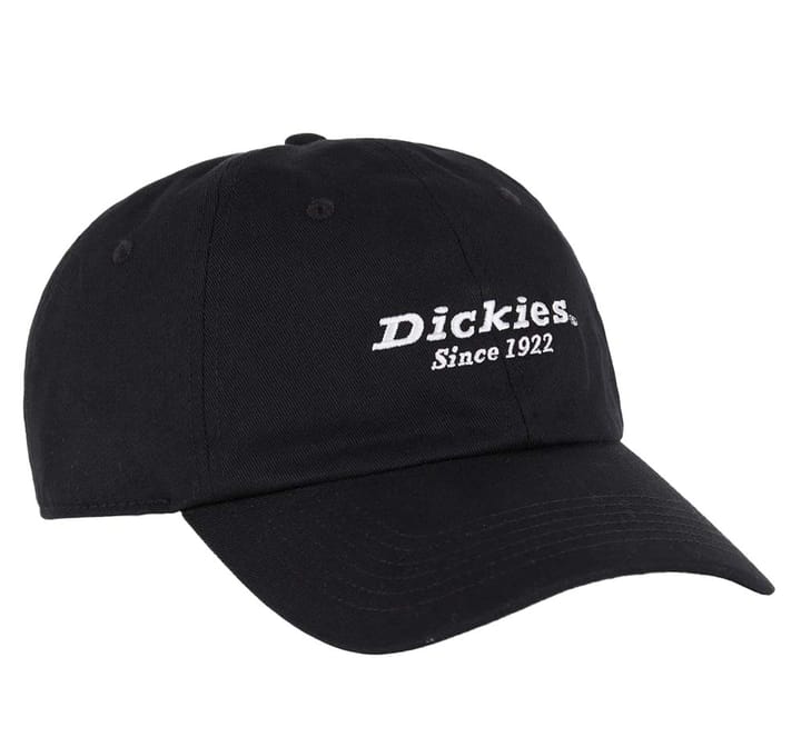 Dickies Men's Twill Dad Hat Black Dickies