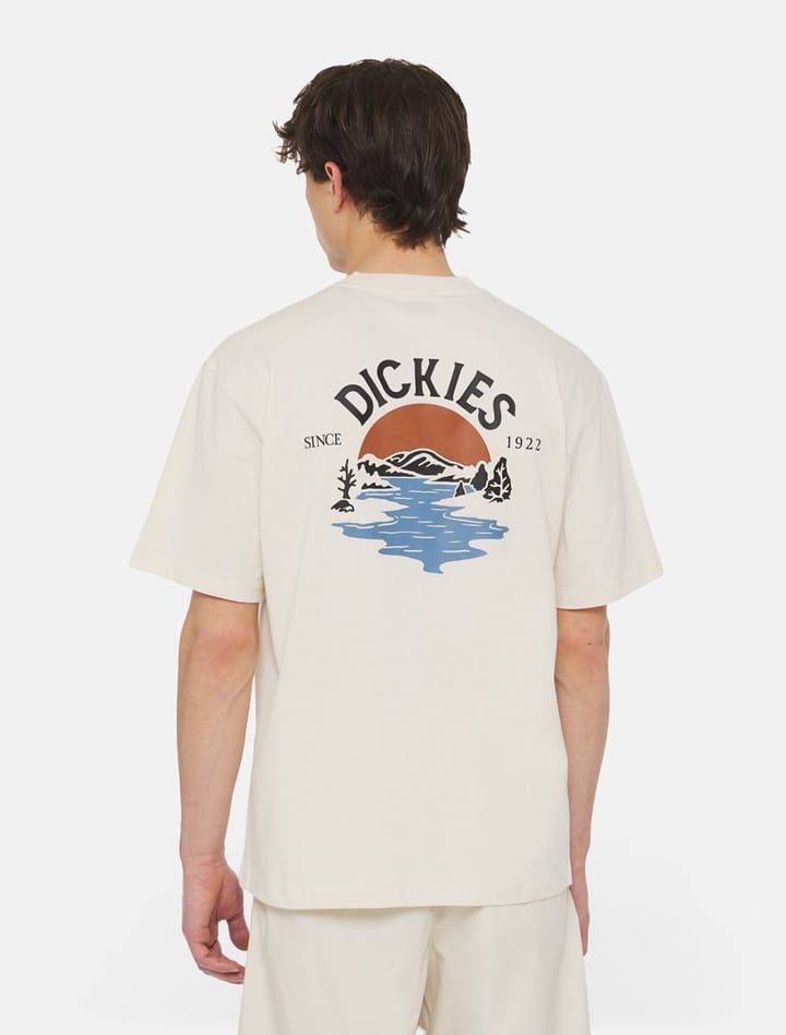 Dickies Beach Tee Ss Whitecap Gray Dickies