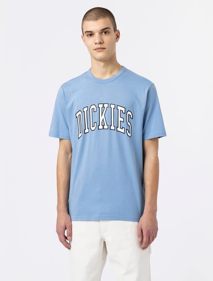 Dickies AITKIN TEE ALLURE Dickies