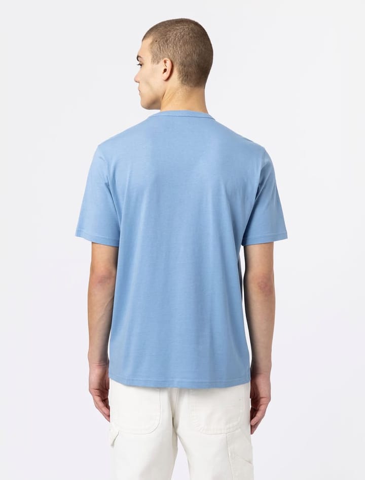 Dickies AITKIN TEE ALLURE Dickies