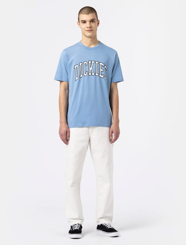 Dickies AITKIN TEE ALLURE Dickies