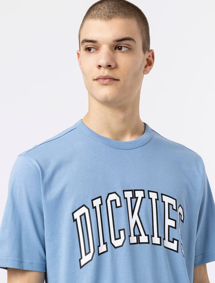 Dickies AITKIN TEE ALLURE Dickies