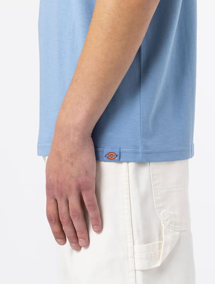 Dickies AITKIN TEE ALLURE Dickies