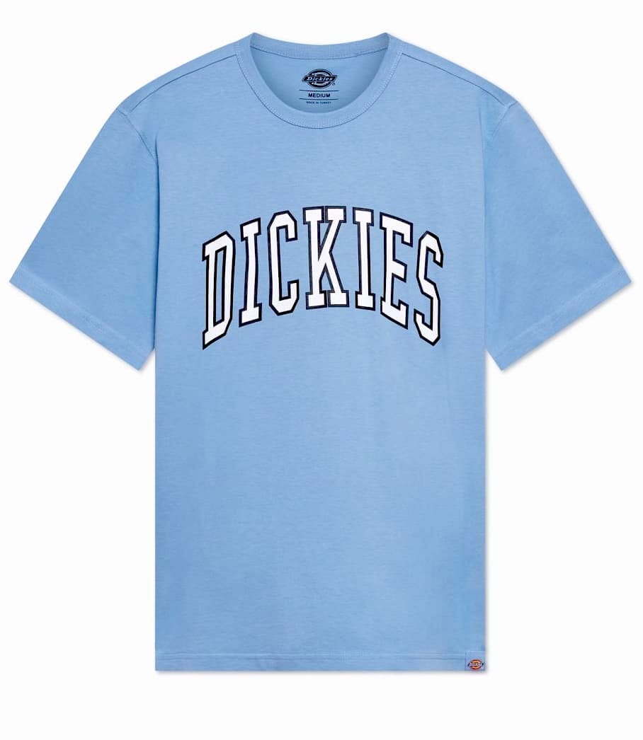 Dickies Aitkin Tee Allure