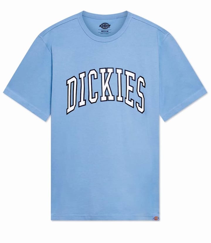 Dickies AITKIN TEE ALLURE Dickies