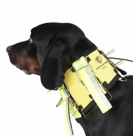 Dogtech Neck 2022 Hivis Yellow Dogtech