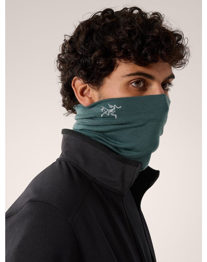 Arc'teryx Rho Lightweight Wool Neck Gaiter Boxcar Arc'teryx