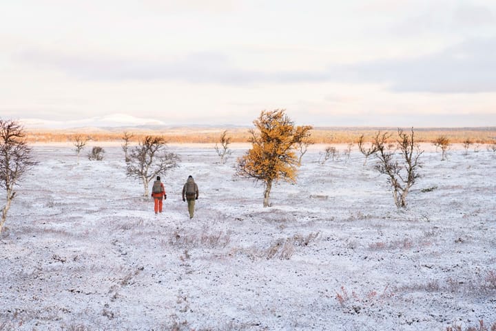 Fjällräven Singi Stubben Dark Olive Fjällräven