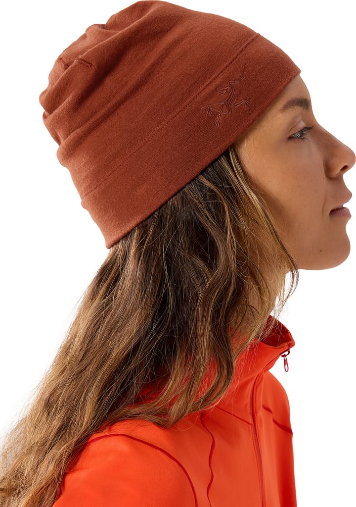 Arc'teryx Rho Lightweight Wool Toque Sequoia Arc'teryx