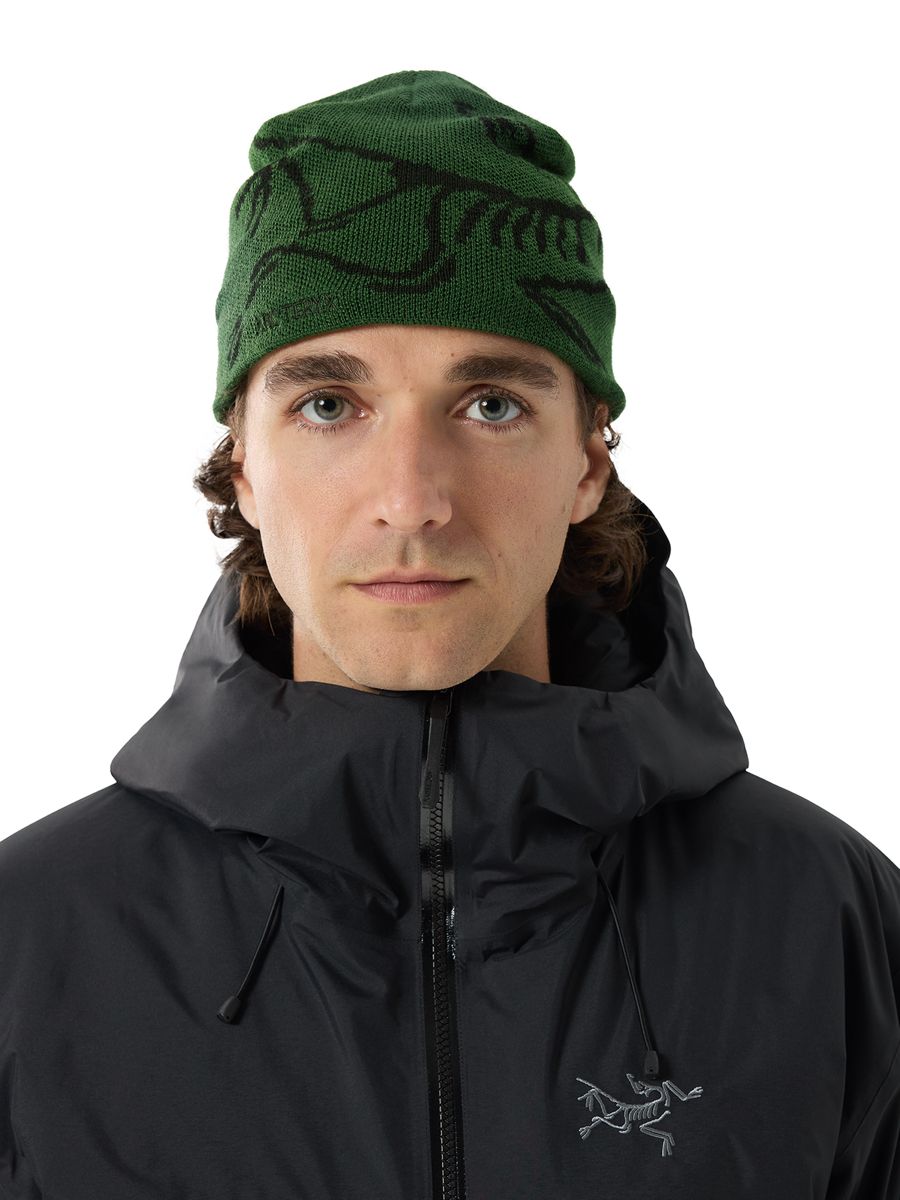Arc'teryx Bird Head Toque Eden/Black