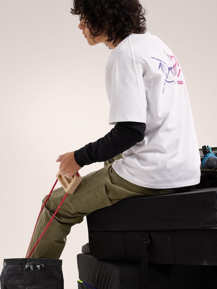Arc'teryx Kragg Cotton Logo SS M White Light / Multi Arc'teryx Arc'teryx Kragg Cotton Logo SS M White Light / Multi Arc'teryx