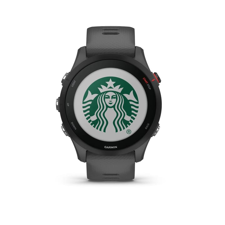 Garmin Forerunner 255 Basic Grey Garmin