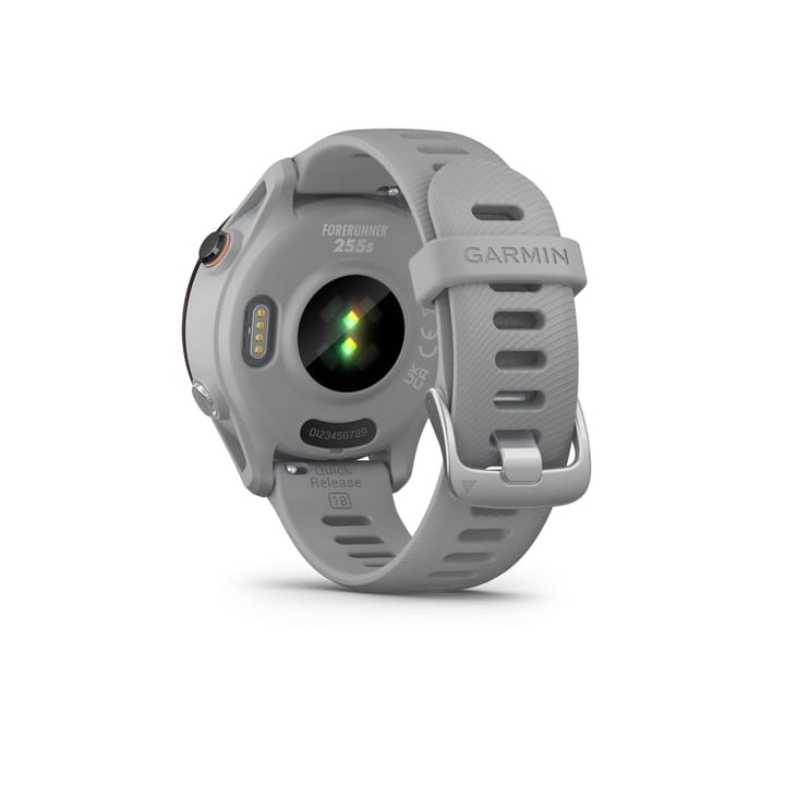 Garmin Forerunner 255s Powder Grey Garmin