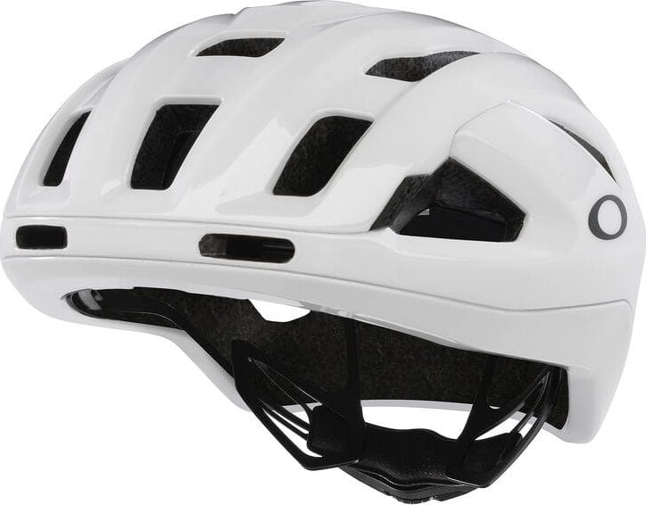 Oakley ARO3 Endurance Polished