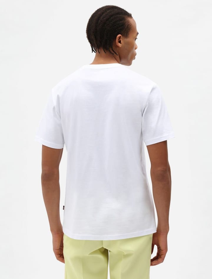 Dickies Men's Mapleton Short Sleeve T-Shirt WHITE Dickies