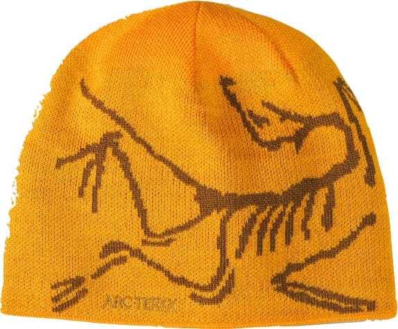 Arc'teryx Bird Head Toque Edziza/Relic