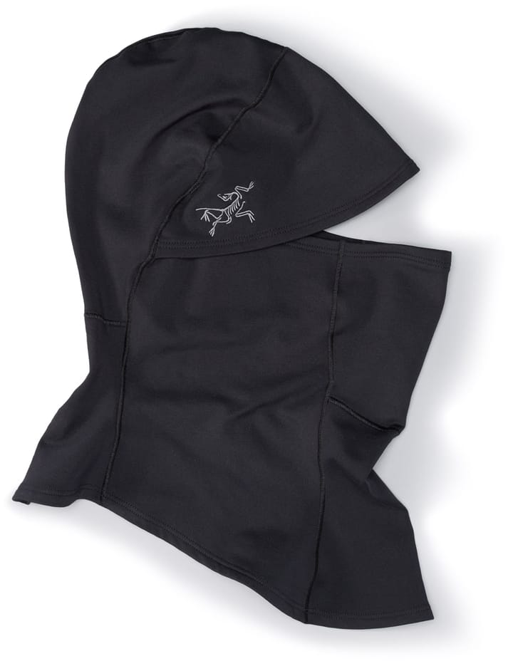 Arc'teryx Rho Balaclava Black Arc'teryx Arc'teryx Rho Balaclava Black Arc'teryx